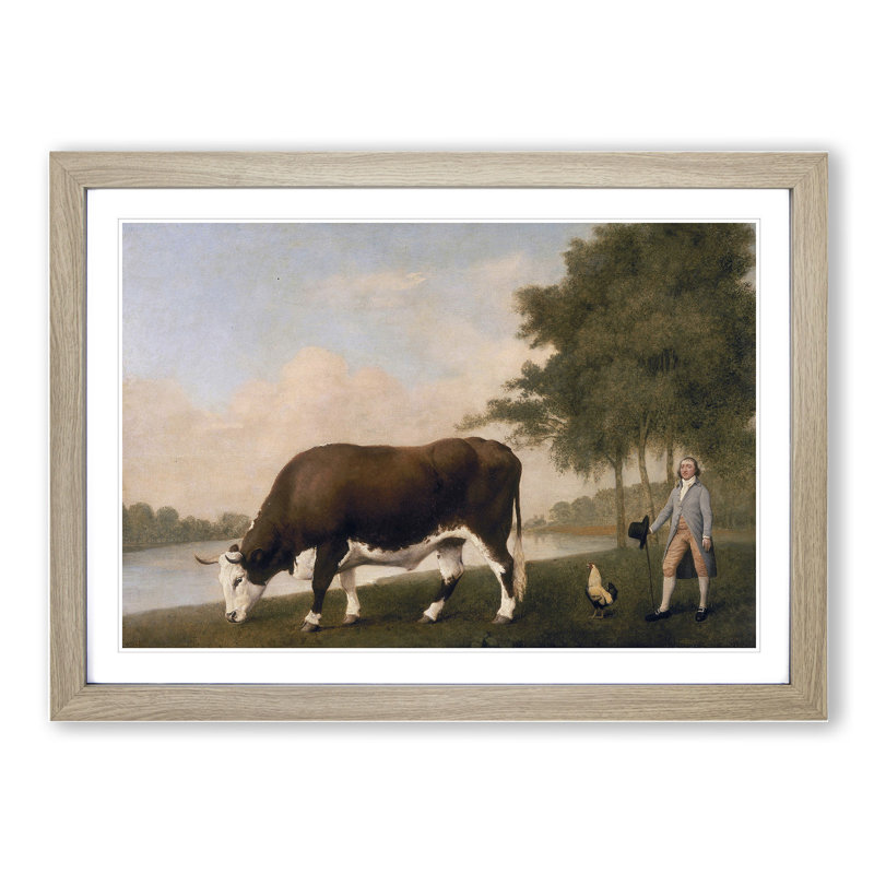 The Lincolnshire Ox by George Stubbs - Framed Print, Oak, 36cm H x 48cm W x 2cm D