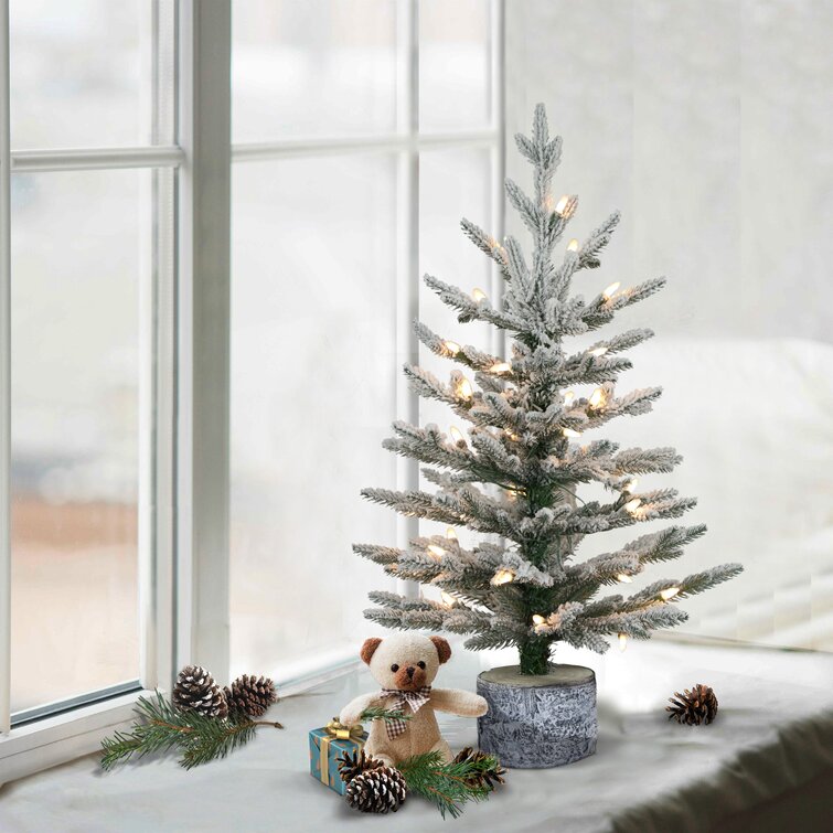 The Holiday Aisle® 2' H Green Most Realistic Artificial Pine Frosted  Christmas Tree with 30 Lights Wayfair