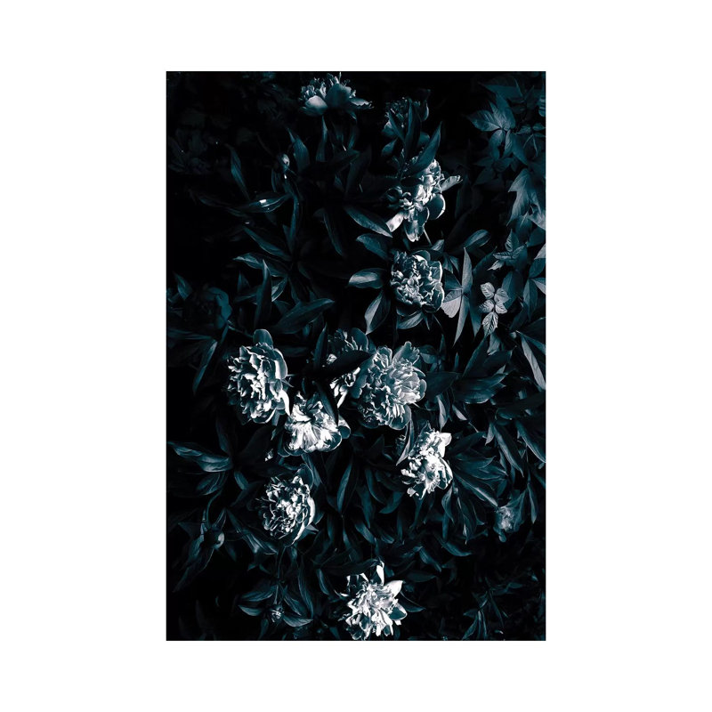 Florals After Dark - Wrapped Canvas Print, 20.32 cm H x 30.48 cm W