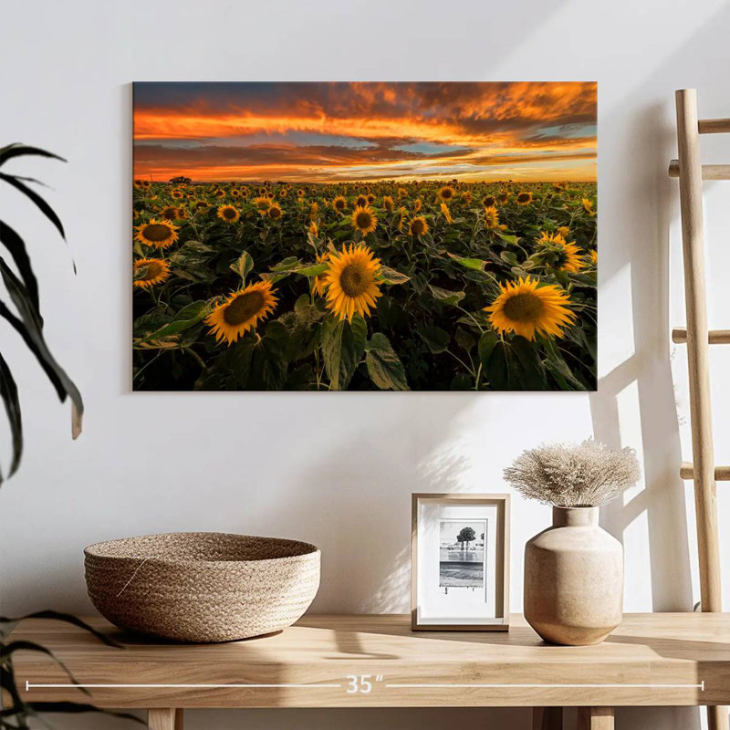 Champ de tournesols d'Alvord, Californie, H 16 po x l 24 po