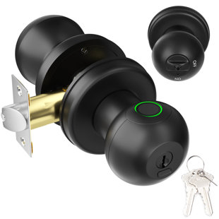 Biometric Door Lock