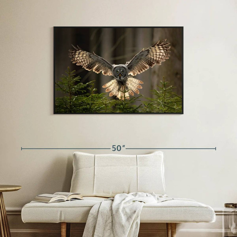Hibou volant Brampt, H 27 po x l 40 po