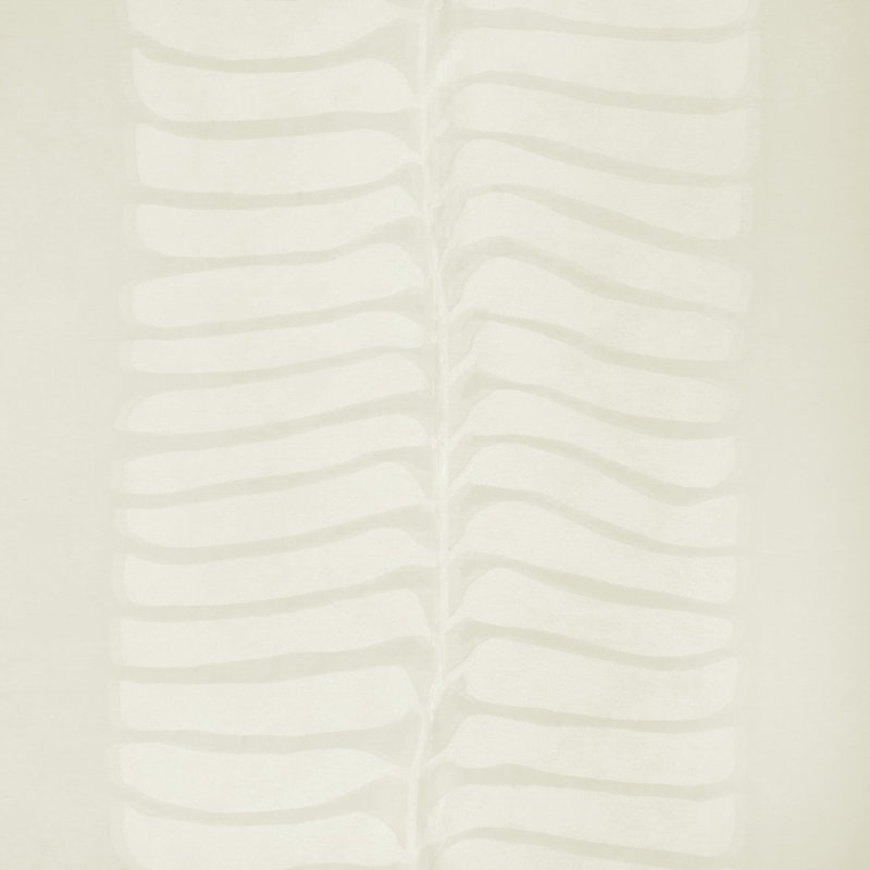Rio Vine, Ivory