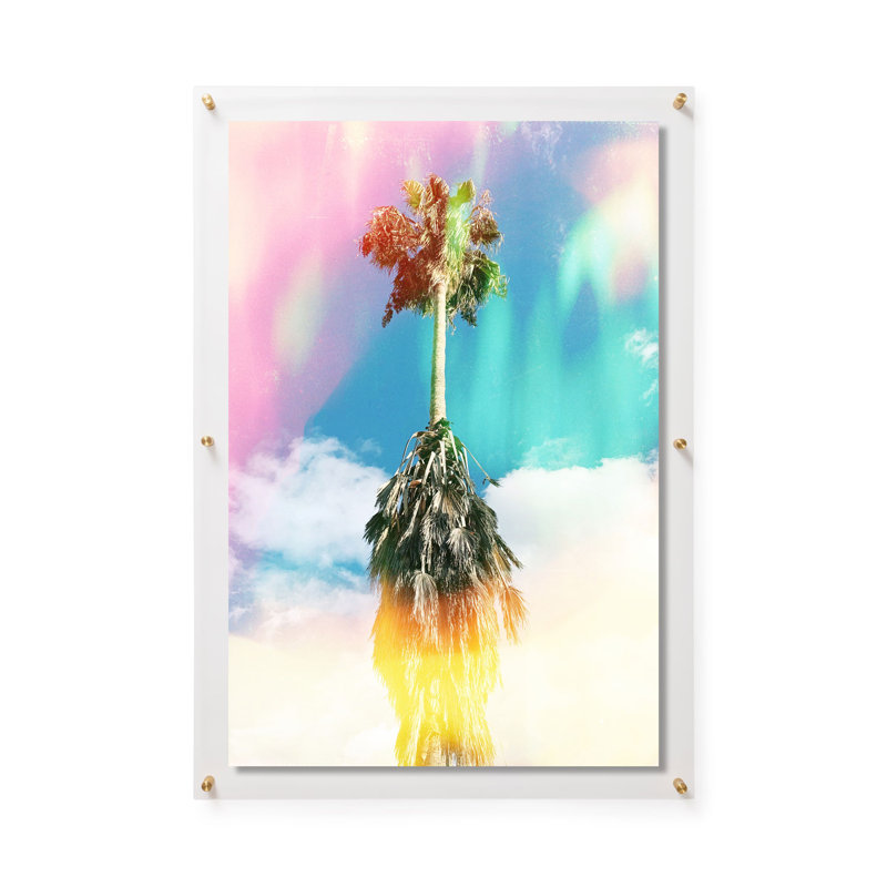 Aurora Palm par Brooke Wilen, H 28 po x l 40 po, Impression encadrée sans passe-partout