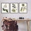 "Vintage Botanical Flowers on Beige", ensemble de 3 giclées par Curtis-1609981623-1609981620