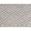 Geometric Area Rug in Beige