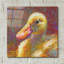 "Ducky" par Rita Kirkman-101650471