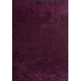 Rapture Area Rug in Purple
