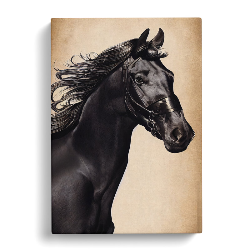 Beautiful Horse - Wrapped Canvas, 76cm H x 50cm W x 3cm D