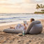 Canapé-lit gonflable, matelas gonflable avec matelas pneumatique gonflable pliable portatif à dossier réglable pour voyage à la plage en plein air-427569028