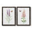 «Wildflower Botanical I», ensemble de 2 reproductions d'art-808463877-817738521-808463899