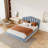 Upholstered Queen Bed-18800783