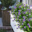12 pièces de fleurs artificielles résistantes aux rayons UV-747236159
