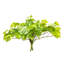  Buisson artificiel 11 po Manjula Pothos 11 po, 2 par sac