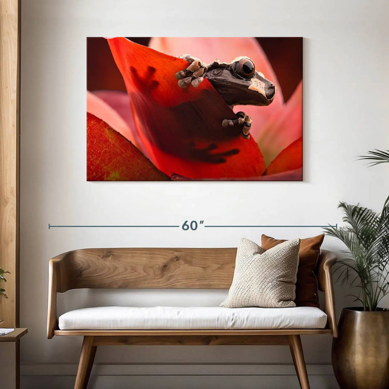 Brampt Amazon Tree Frog, 30" H x 45" W