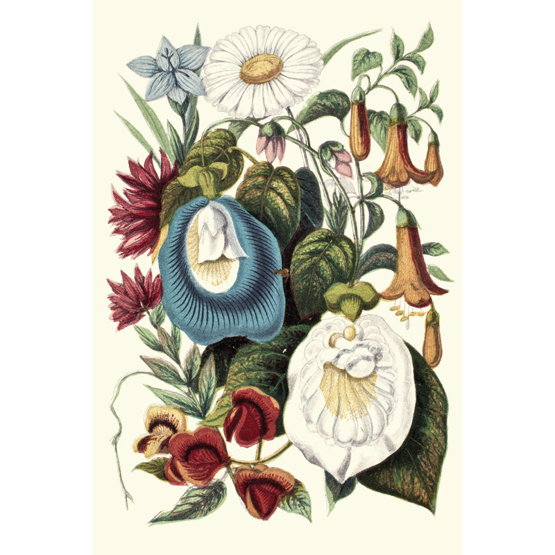 Garden Gathering VI - Wrapped Canvas Print, 91cm H x 61cm W