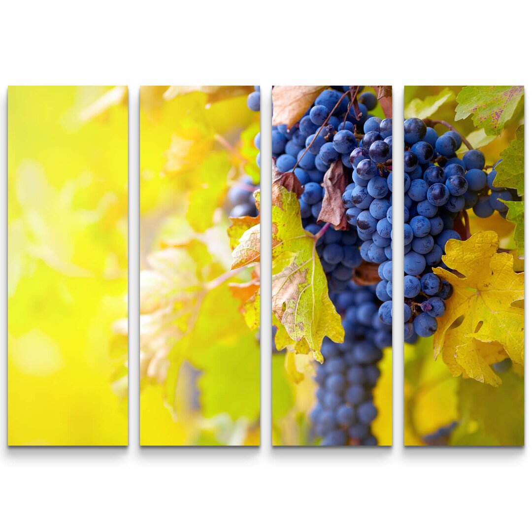 4-tlg. Leinwandbilder-Set Blaue Weinrebe im Herbst