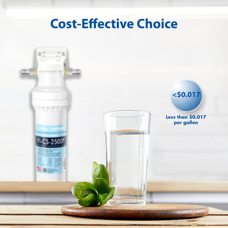 High Capacity Under Sink Water Filtration System with Scale Inhibitor