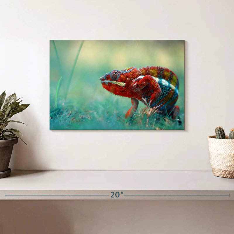 Brampt Vibrant Chameleon, 8" H x 12" W