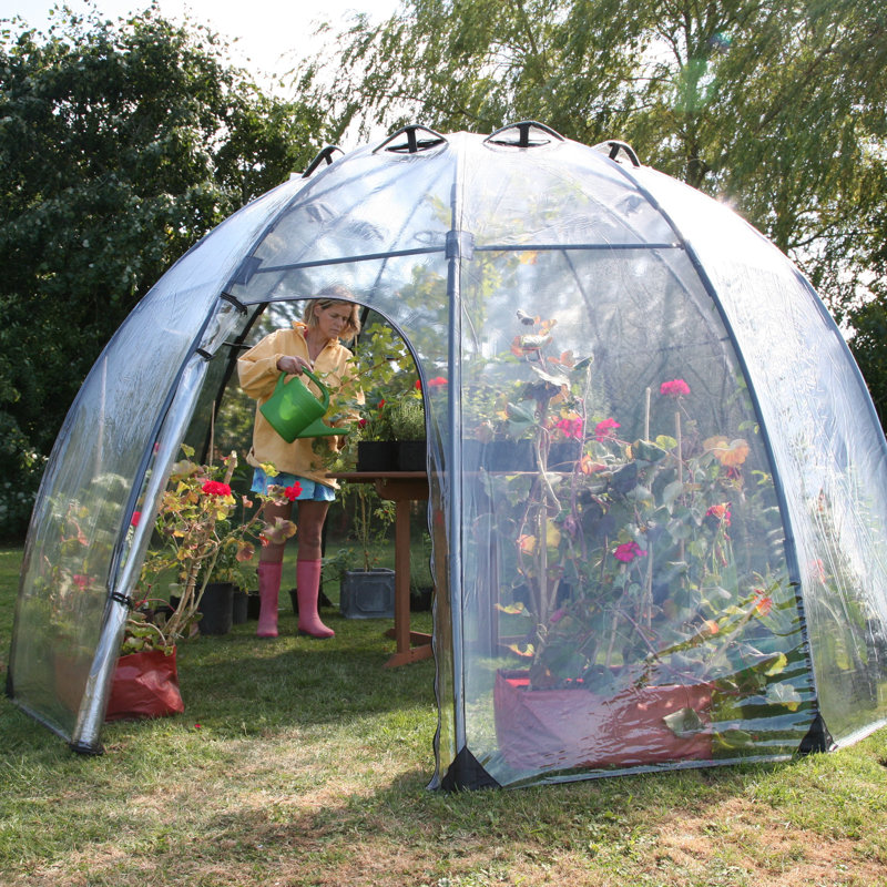 Calisce Greenhouse, 220cm H x 350cm W x 350cm D