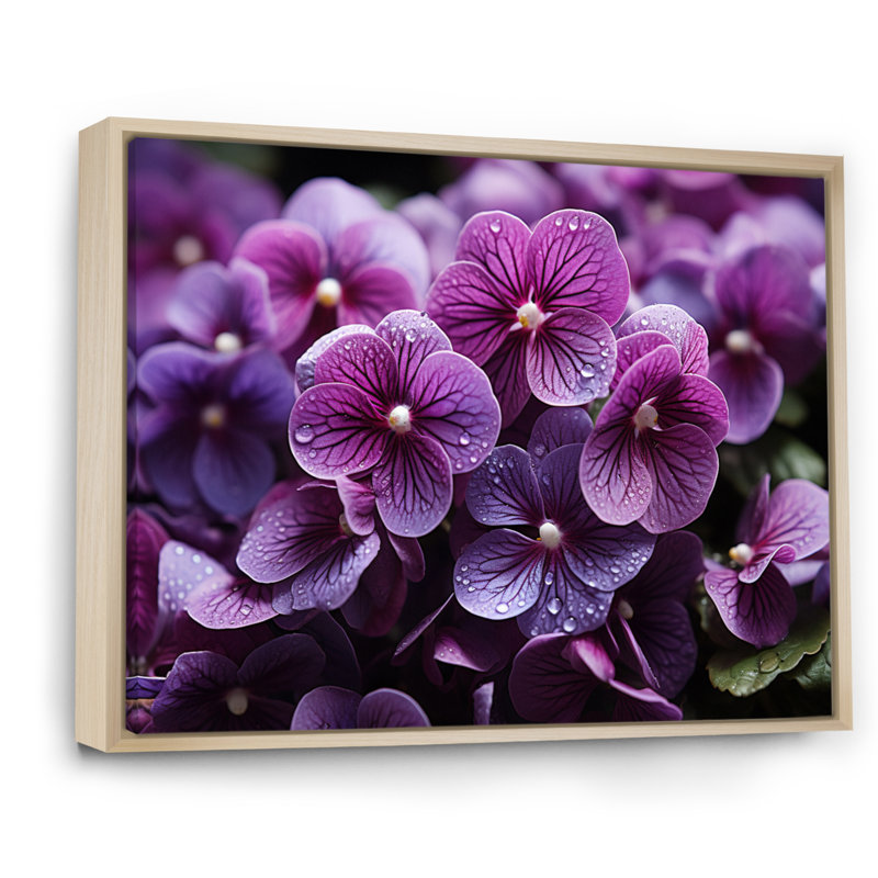 «Vibrant Violets Field Photo II», reproduction sur toile, Cadre naturel flottant, H 16 po x l 32 po x P 1 po