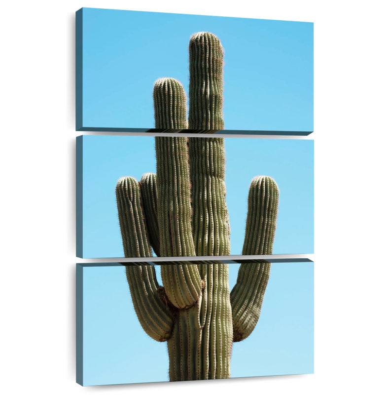 The Saguaro Cactus, 57" H x 36" W