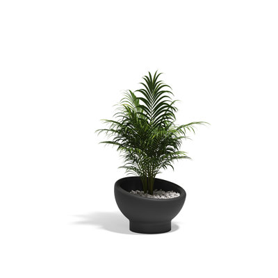 Luna Planter