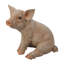 Figurine cochon assis-18361900