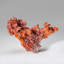 Copper Crystal Cluster from Chengmenshan Mine, Jiangxi Province, China