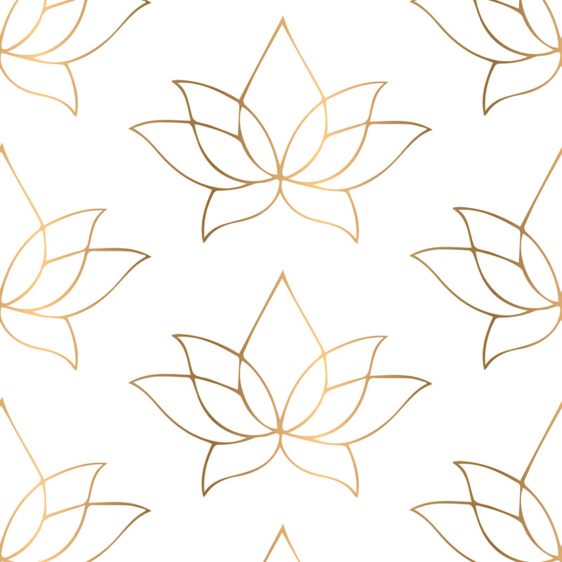 Rouleau de papier peint Lotus Lines 10 pi L x 24 po l, Doré, Faux Grasscloth