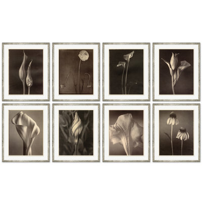 Sepia Flowers 10 Print