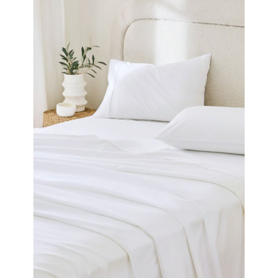 Ensemble de draps 4 pièces très grand 600 fils en coton Rug Branch