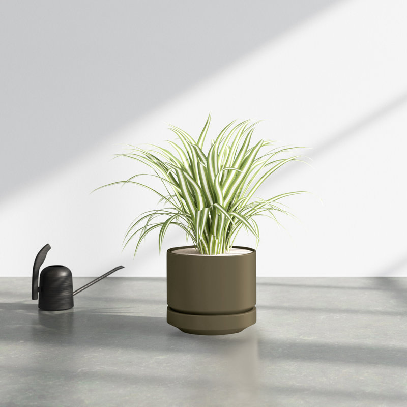 Byer Handmade Ceramic Pot Planter, 6" H x 7" W x 7" D, Olive