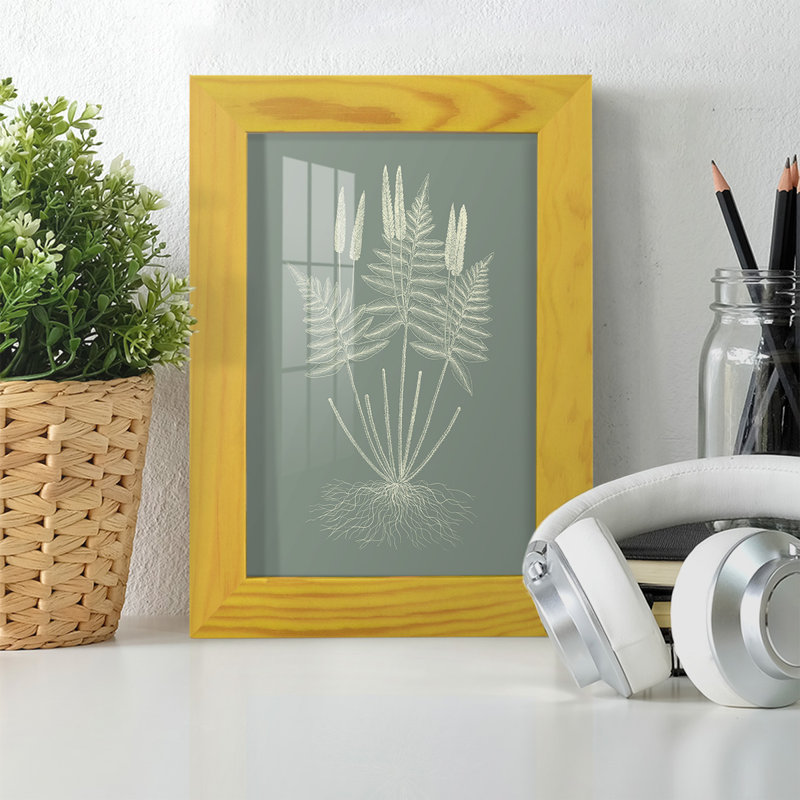 Ferns On Sage VII, encadré sur papier, H 6 po x l 4 po x P 1 po, Jaune