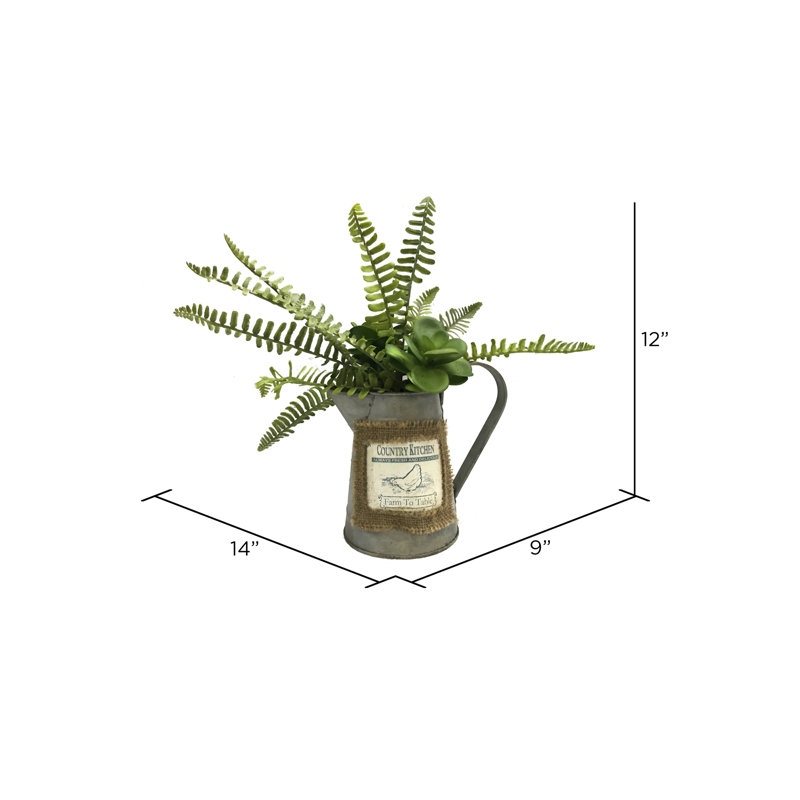 Plante de palm