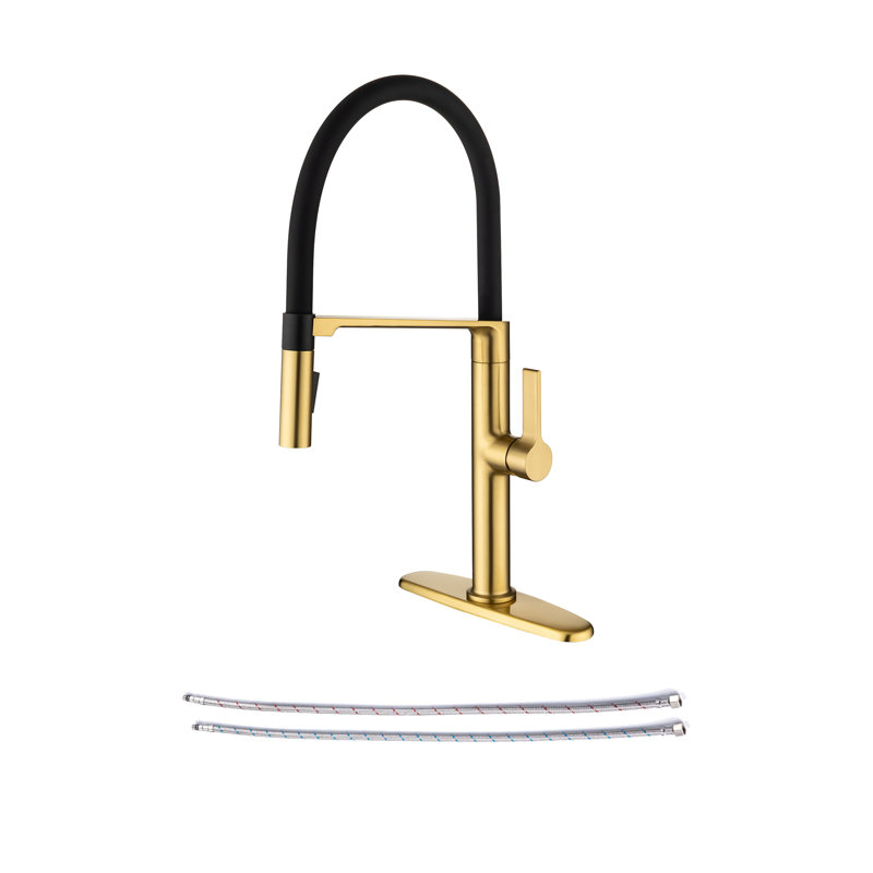 Rainlex Pull Out Kitchen Faucet, Brushed Golden