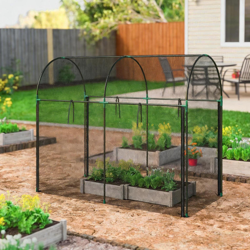 Spacious Plant Protection Tent,Plant Cage,Large Crop Cage, Black