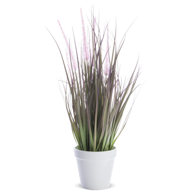 Faux Grass Plant in Plastic Pot, 46cm H x 23cm W x 23cm D, Green/Brown/Pink