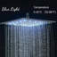Wellman Rain Adjustable Shower Head-833624623