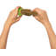 Presse-fruits en bois