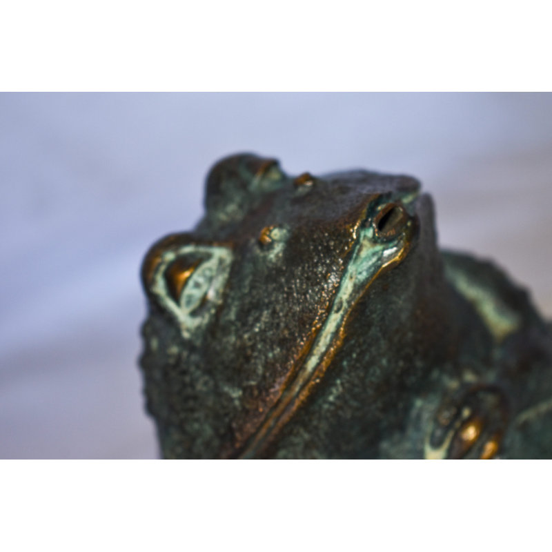 Ernstine Frog With Green Patina Bronze Statue Fountain Size: 6" x 6" x 14"H