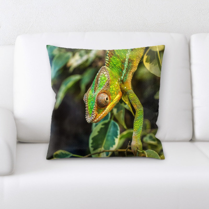 Coussin en jeté chameleon