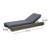 Donnie 39'' Outdoor Acacia Chaise Lounge-1374039722
