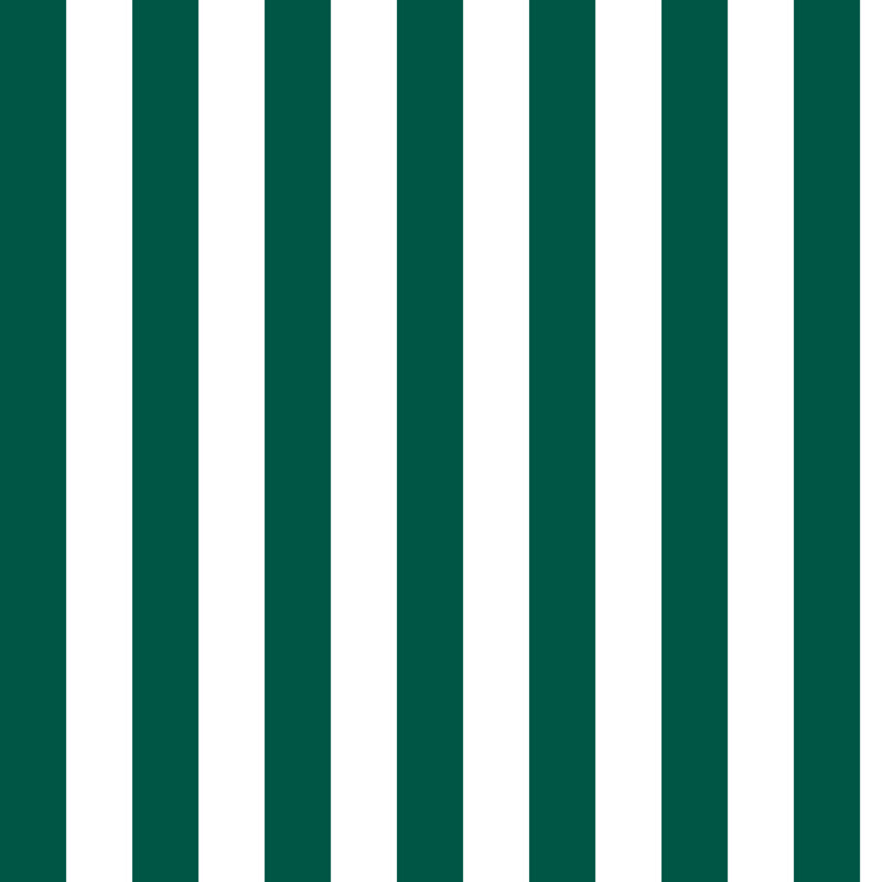 20'' H Upholstered Dining Chair, Canopy Stripe Emerald, Ancient Stewart Red