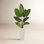 60'' Faux Palm Tree in Fiber Clay Planter