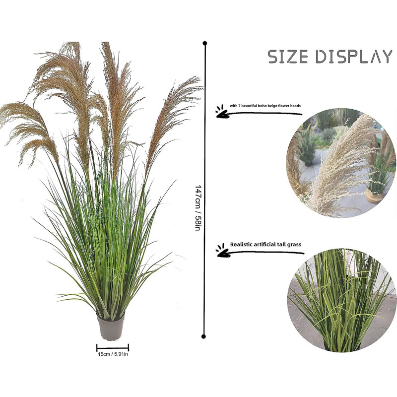 59'' Pampas Grass Grass in Pot