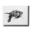 Art mural sur toile Winston Porter «Naptime 1» par Lindsay Kivi-1616671336