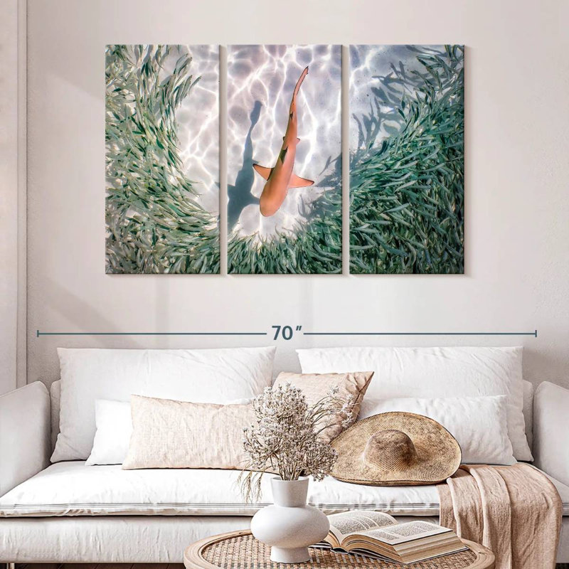 Brampt Baby Blacktip Reef Shark, 32" H x 50" W