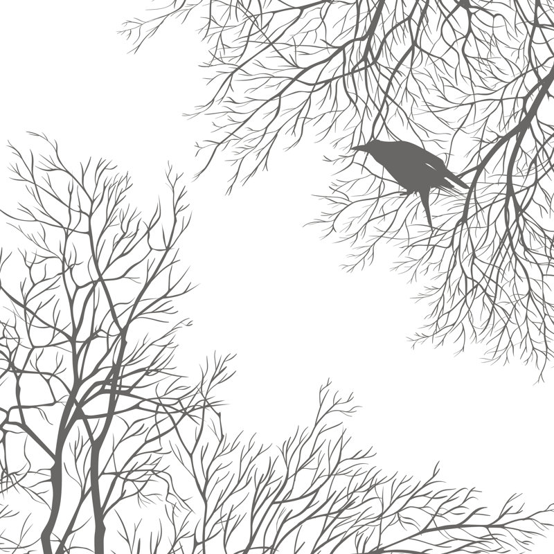Crow On Branch by D0r0thy - Wrapped Canvas Print, 122cm H x 122cm W