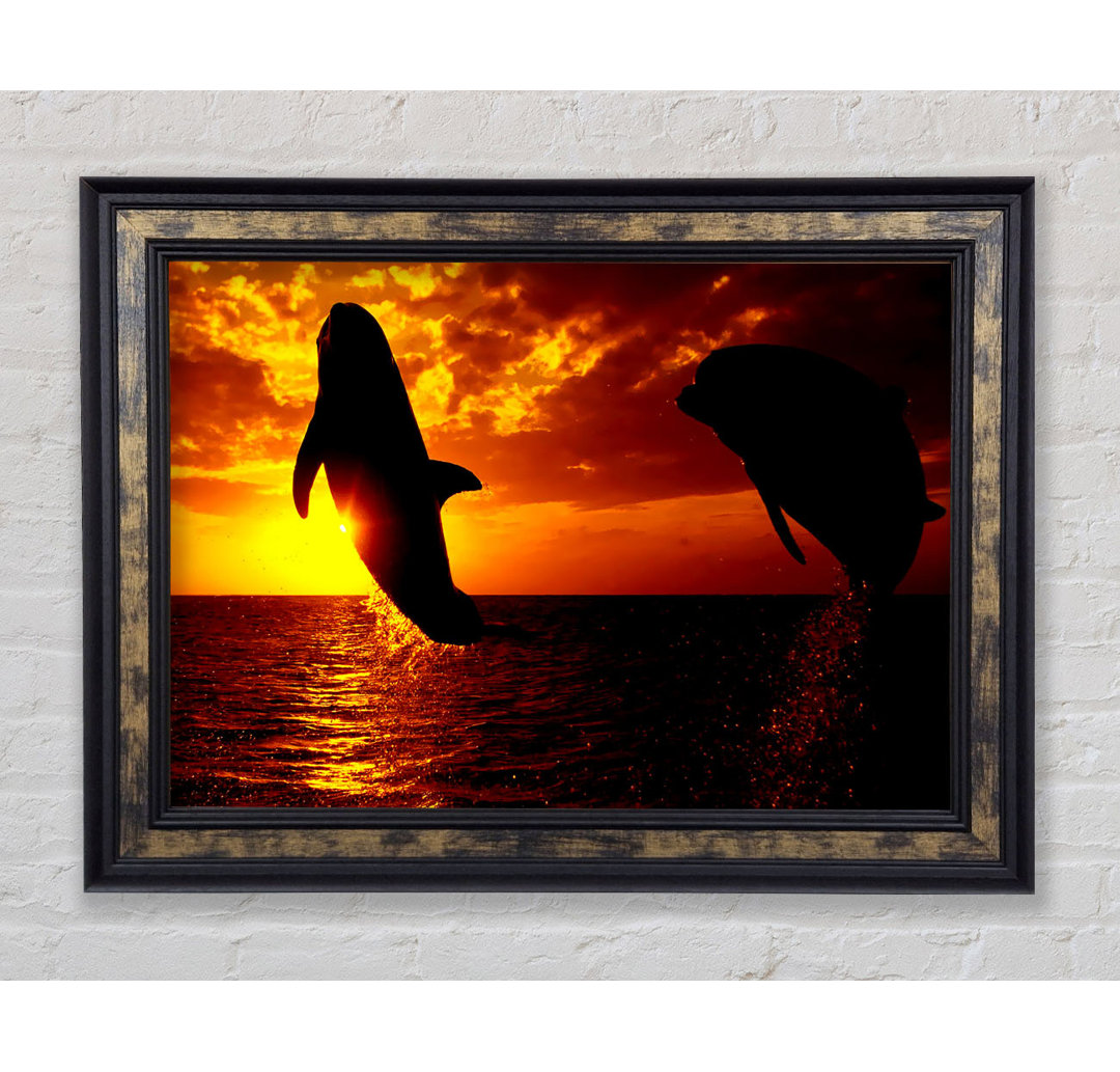 Dolphins Sunglow - Einzelner Bilderrahmen Kunstdrucke